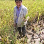 Harvest time at Legacy 016
